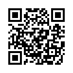 P95020ZDLLG8 QRCode