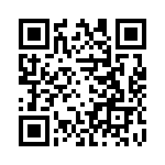 PE962203 QRCode