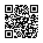 PE991203 QRCode