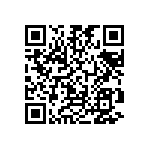 PTN1206E1380BST1 QRCode