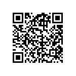 RAA230407GFT-AA0 QRCode