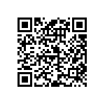 RBM12DSEI-S243 QRCode