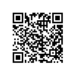 RCP1206B300RJEA QRCode