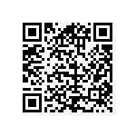 RER45F3160PCSL QRCode