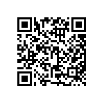 RG1005V-2941-P-T1 QRCode