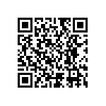 RG1005V-6190-B-T1 QRCode