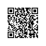 RG1608P-304-D-T5 QRCode