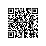 RG3216P-1333-B-T5 QRCode