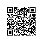 RGC0402DTD243K QRCode