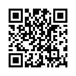 RGP10JE-E3-91 QRCode