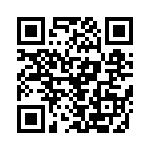 RJHSE538T04 QRCode