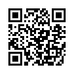 RJHSEG38T08 QRCode