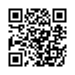 RJLSE6336101T QRCode