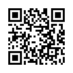 RJSBE5385C1 QRCode