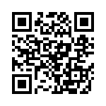 RN55C1333FBSL QRCode