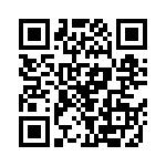 RN55E1382BRSL QRCode