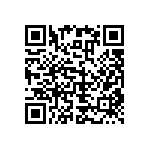 RNC55H1001BRRE6 QRCode