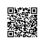 RNC55H1004BPBSL QRCode