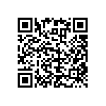 RNC55H1300BSBSL QRCode