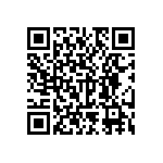 RNC55H1304BSBSL QRCode