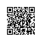 RNC55H1381BSRE6 QRCode