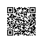 RNC55H1602DSBSL QRCode