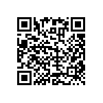 RNC55H1653BSRSL QRCode