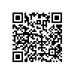 RNC55H1671DSRSL QRCode