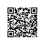 RNC55H1673BSBSL QRCode