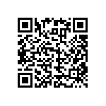 RNC55H1911BSRSL QRCode