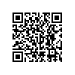 RNC55H3121BSBSL QRCode