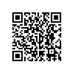 RNC55H3123BRBSL QRCode