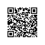 RNC55H3160BSBSL QRCode