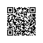 RNC55H3202BSBSL QRCode