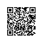 RNC55H3303FMB14 QRCode