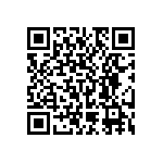 RNC55H4122BSBSL QRCode