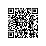 RNC55H5493BSBSL QRCode