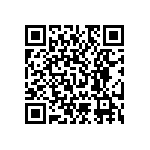 RNC55H6041BSBSL QRCode