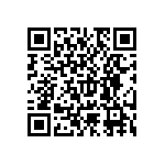 RNC55J1001FSRSL QRCode