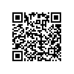 RNC55J1013BSBSL QRCode