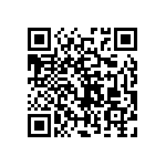 RNC55J1302BSRE6 QRCode