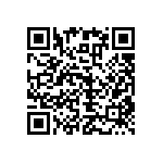 RNC55J2004BSRSL QRCode