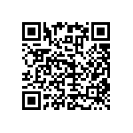 RNC55J2341BSRSL QRCode