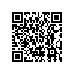 RNC55J2491BPBSL QRCode