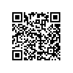 RNC55J2493BRBSL QRCode