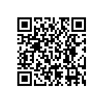 RNC55J2493BSBSL QRCode