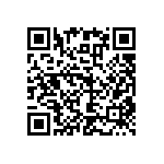 RNC55J2580BSBSL QRCode