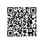 RNC55J25R2BSBSL QRCode