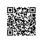 RNC55J2672BMBSL QRCode