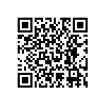 RNC55J2843BSBSL QRCode